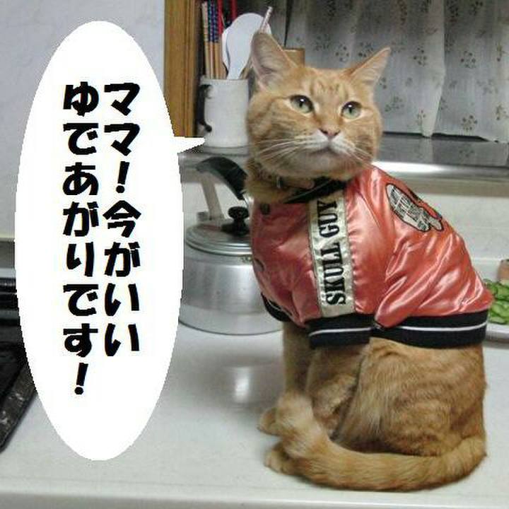 30547549 209b 47c4 9889 dcf975bf4cc4