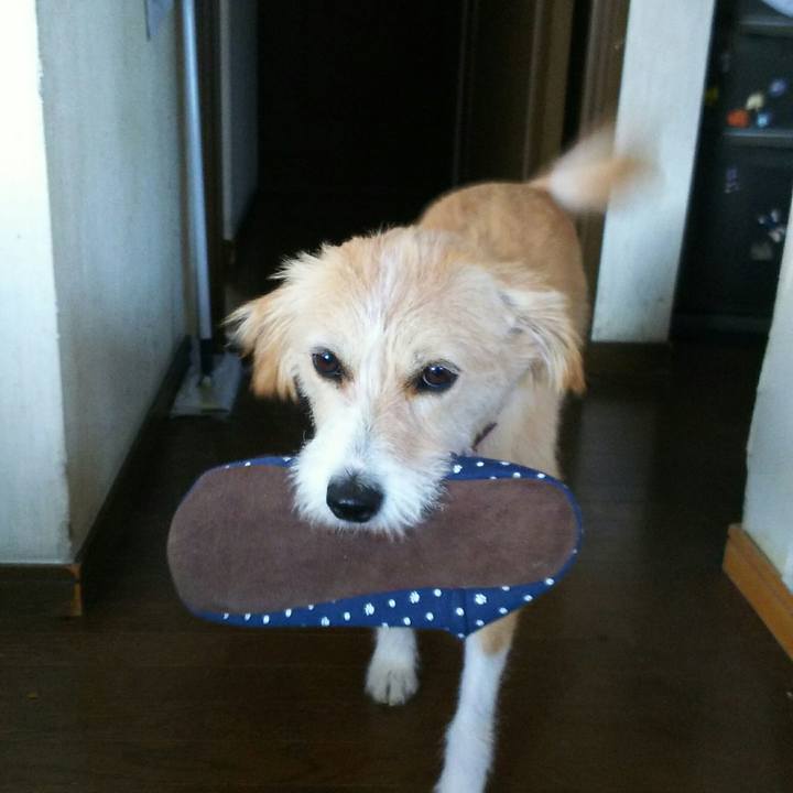 3054cfc5 8d17 4b37 a8a0 b2aa3cd5ae0f