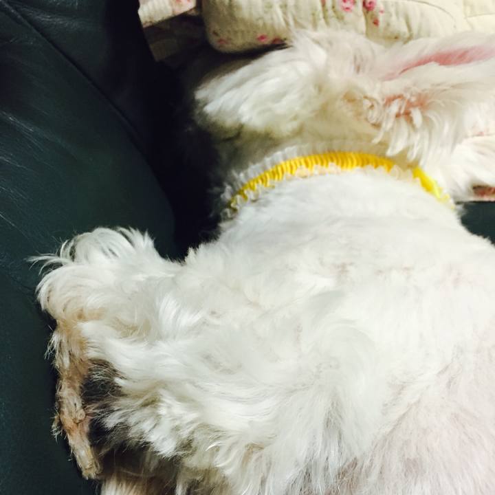 3055bcc5 5fd1 4951 915b a3d08f40c100