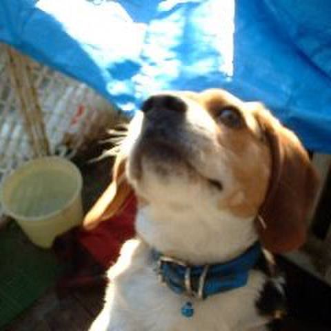 3055de2a 89fc 4732 937c b325423e9386