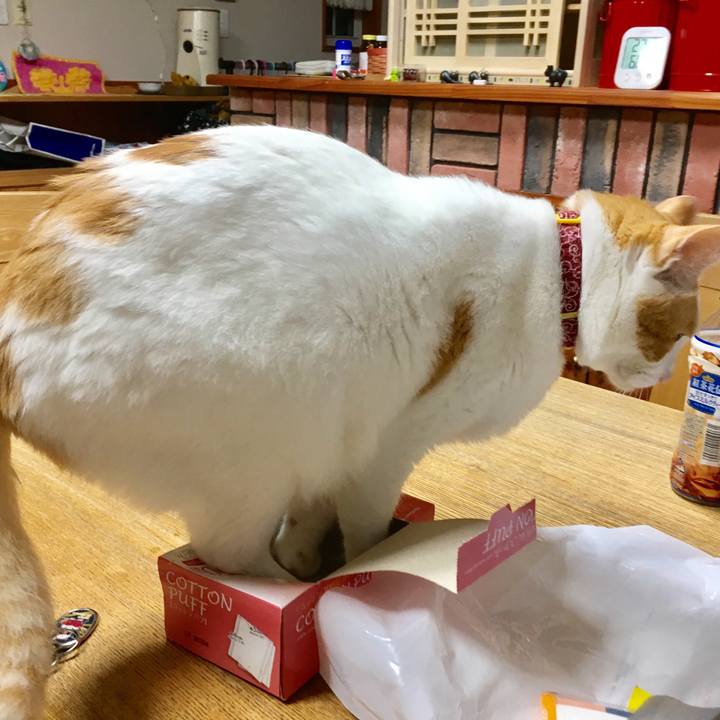 3055e66f b079 45d1 8b8b d53c5e12c4be