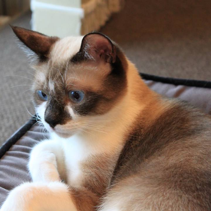 3056431a f8d0 47fb a116 97c3204da88b