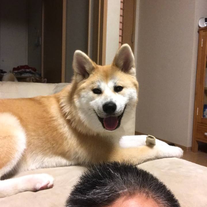 3056c649 ab40 443c 9b39 4bb29f75ad40