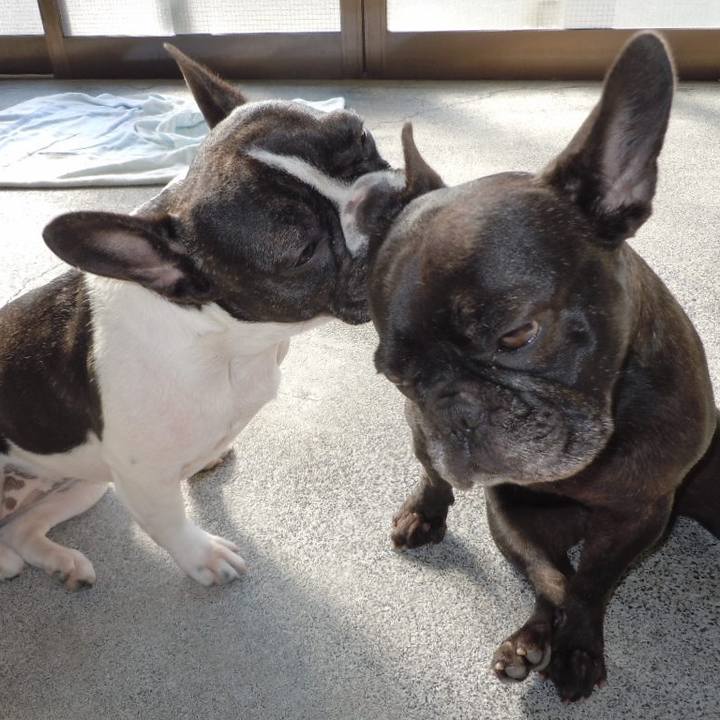 3056ea92 c278 4b83 9b46 18a9f44cf66a