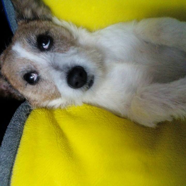 30571bdf c798 4d70 b0cf b12ac72fe494