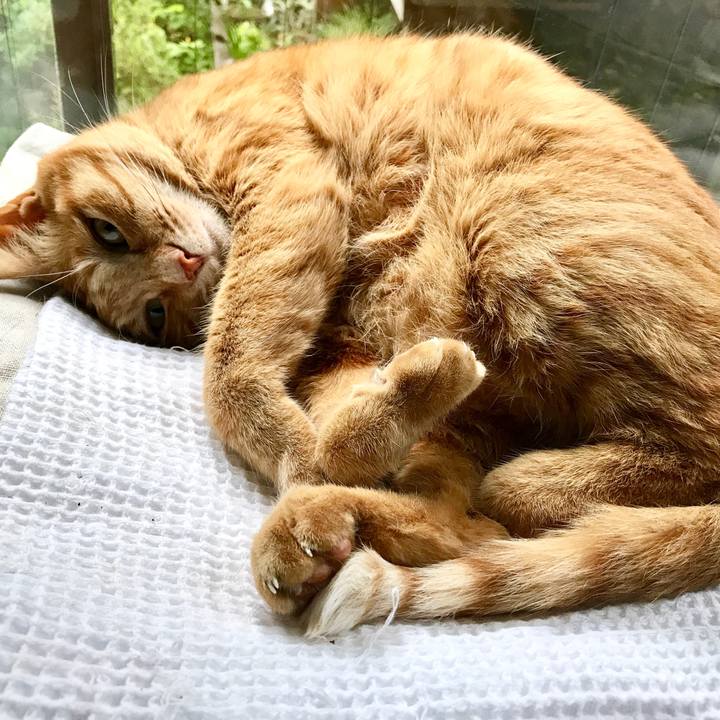 3057d2ef 4e69 4126 bab2 d75e45eb86b9