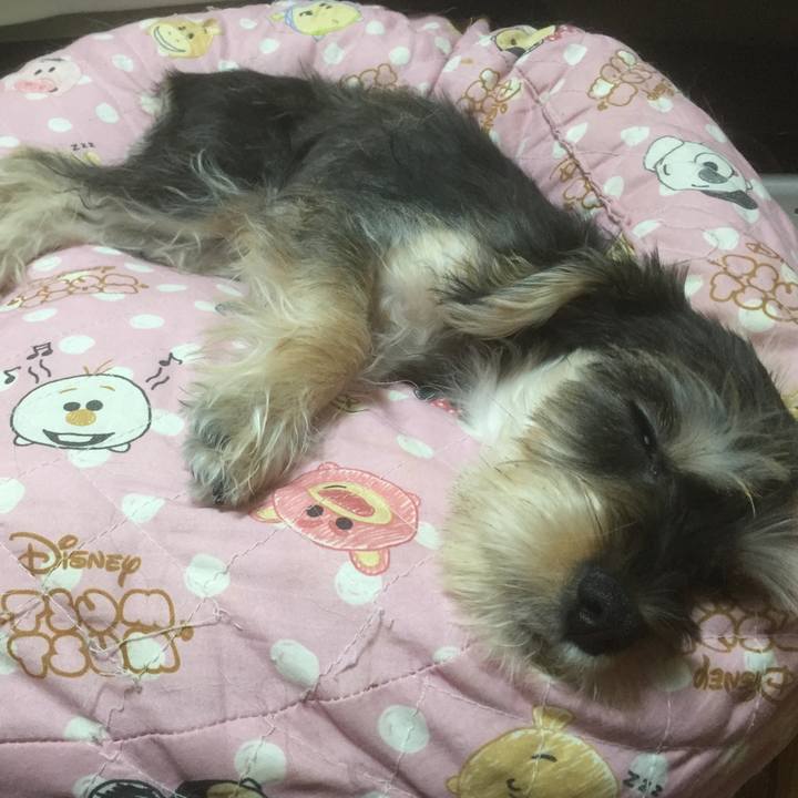 305830cc 42b1 430a b674 bef3d08efb07