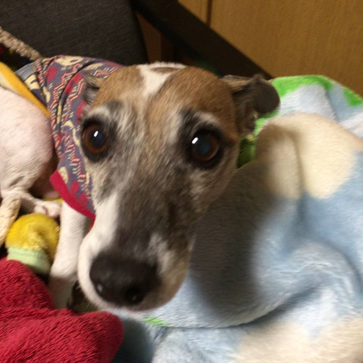 3058df45 ff1d 46a3 a383 50f4fd030e79