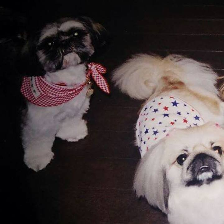 30592b03 059c 468c 8555 2c27159bf8fe