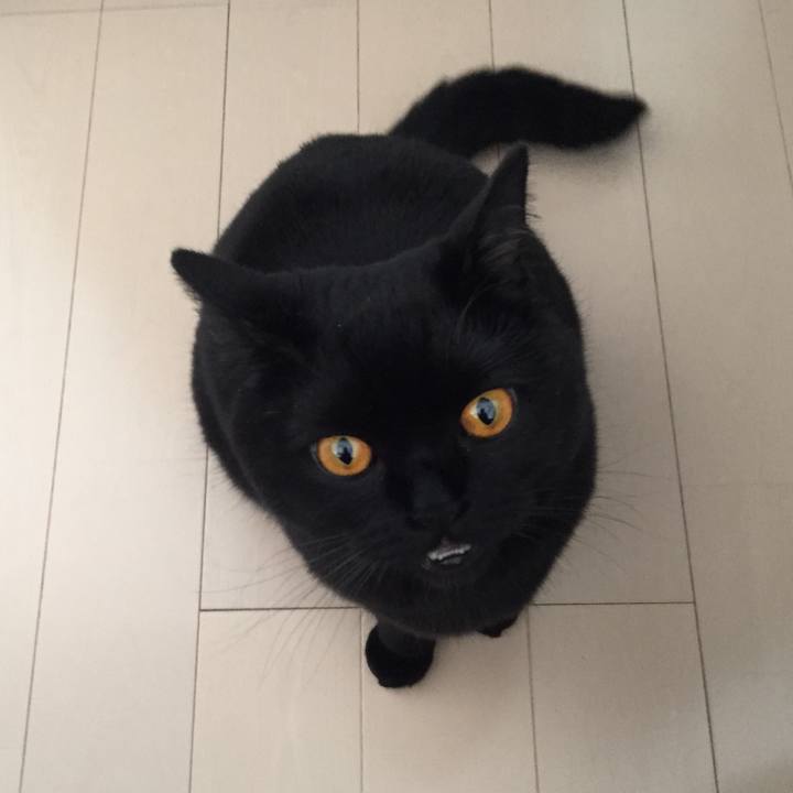 30596163 8f14 4b4b 8892 2249ec1fa5e3