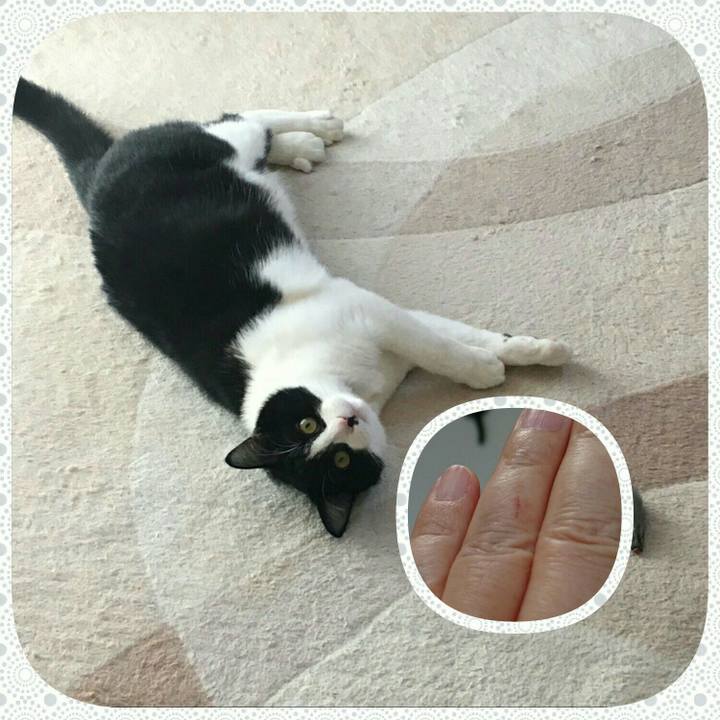 3059a2cd aeeb 452e aa41 e6109f3f25de