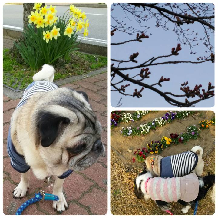 3059c73d 906c 4996 8f8a 2e8e3dfccd83