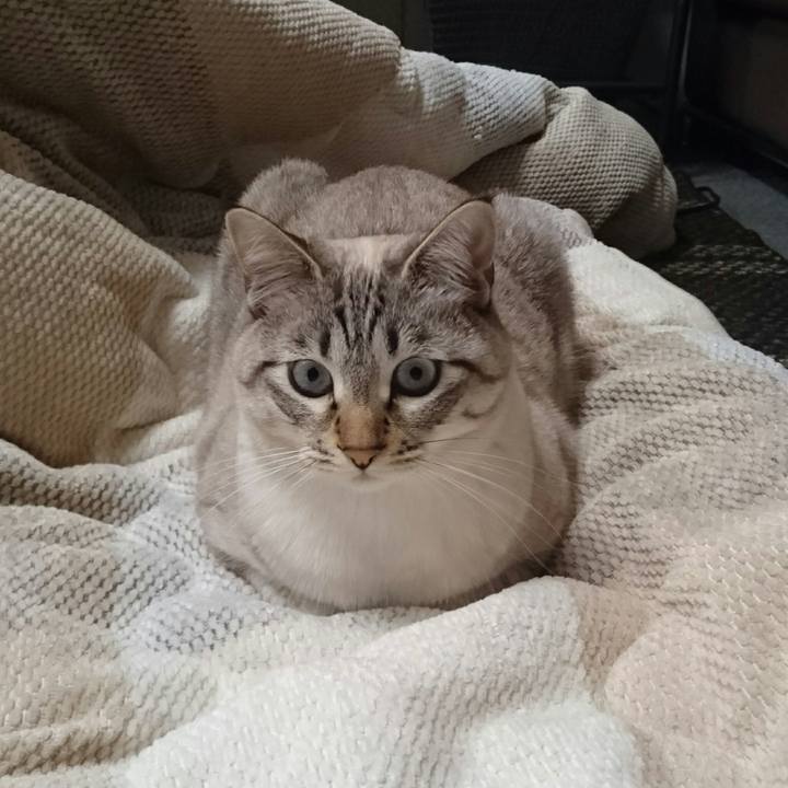 3059cd0e 62f5 4610 9730 70ed322a0502