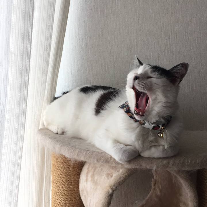 305a0b50 d0d4 40a9 a039 96c8c91abad9