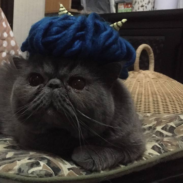 305a0fde e256 45d0 b935 d70770af2306