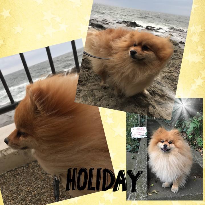 305a2af7 09a7 4bdd bd89 641397b46d7b