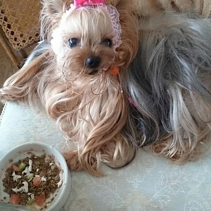 305a3ad1 d675 45a7 a267 98775ed27343