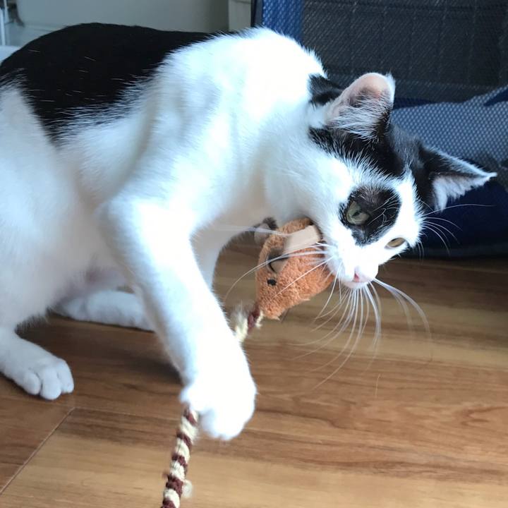 305a6fce b85e 4a5d b4d4 30a9a8f4efb1