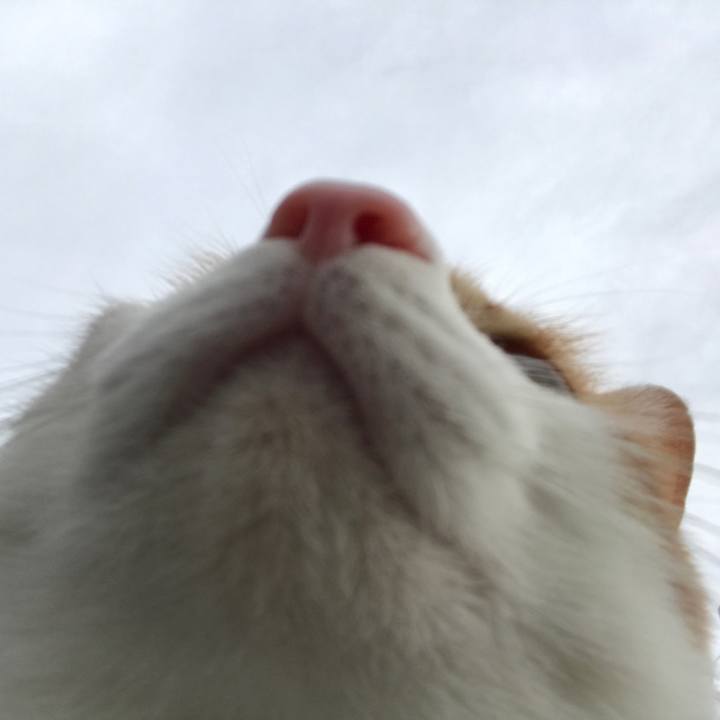 305a8f62 2241 4e90 bb18 921d35e67d47