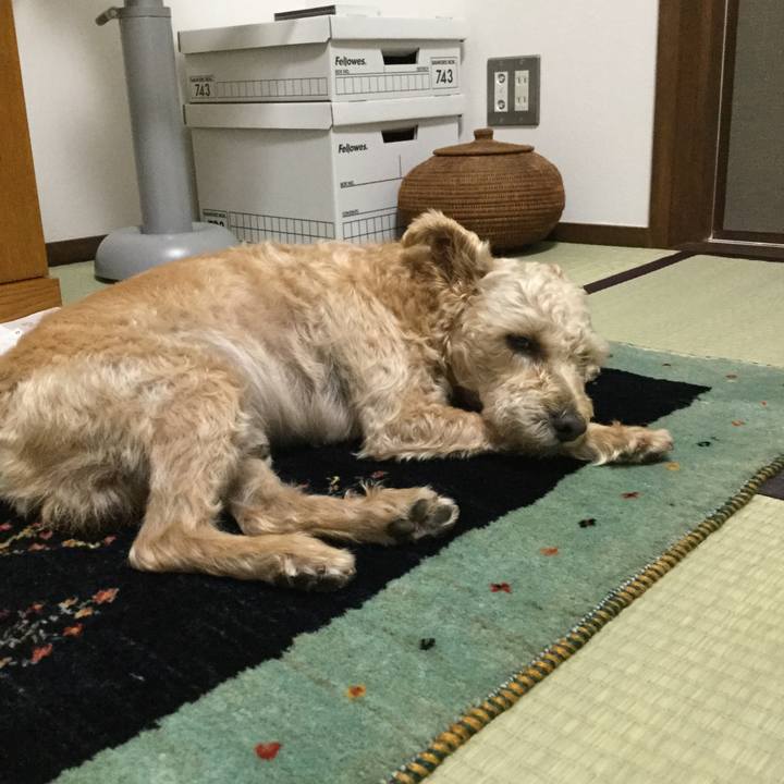 305b4c0b 0643 4b87 b7ef d74137dc781c