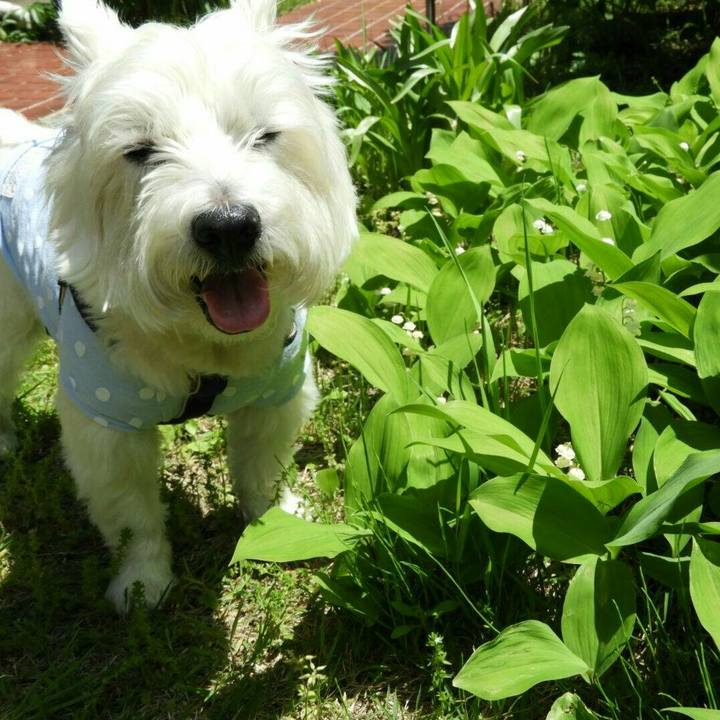 305b519c 52a0 4ce6 b900 062dc1ea38ce