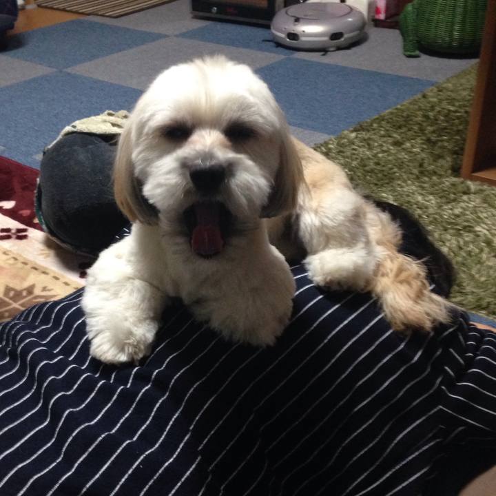 305bc5c9 cd9f 4811 8540 de5a339ccbe9