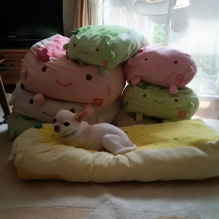 305bc968 2376 46b8 91e7 880b3d8e4eb6