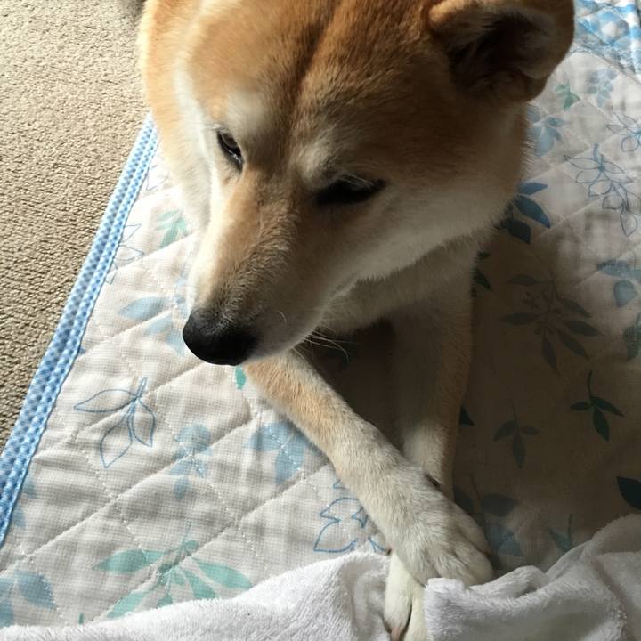 305c3f5b 08c7 499a 8877 d60e9e20b8fd