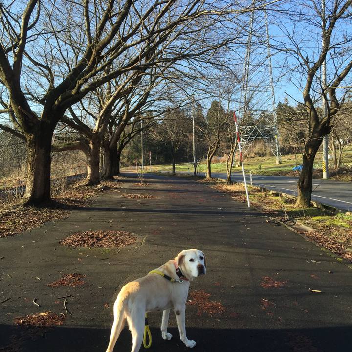 305c40d5 5488 4338 af7e a23d36fcd1a5