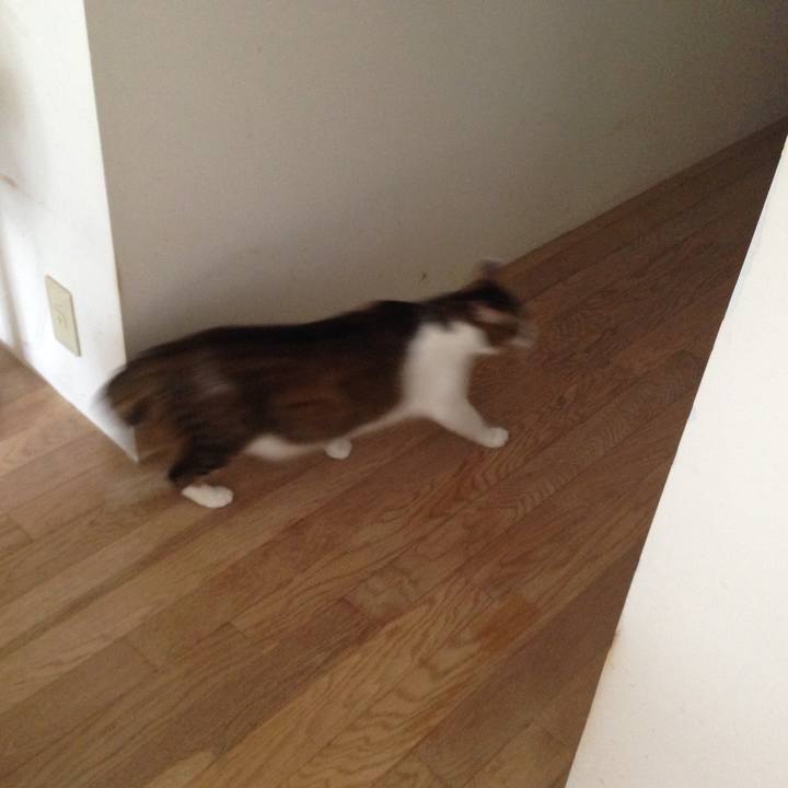 305c9417 7ca6 4731 acbd 9f528cd26b97