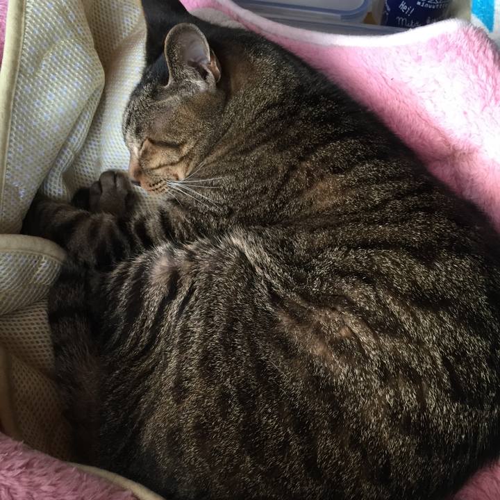 305ce06b a660 4a0e a9c4 638588b24cb3