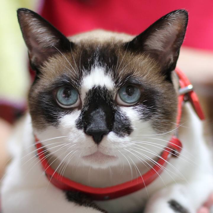 305d44ac 8db6 4ff2 bb6a a785ba99927f