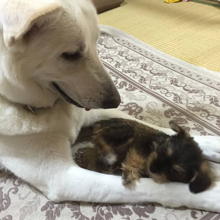 305d8532 6d64 48c7 a917 52439c8e7a04