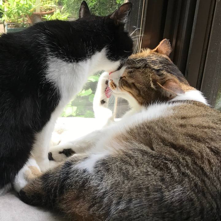 305da855 9672 4918 9b88 3475a18c3ea5