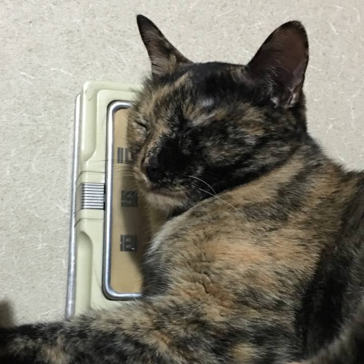 305e4b75 a396 46b8 bc36 97bd89a7fb56