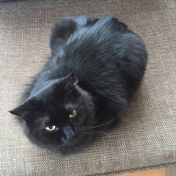 305f4b4b e7ca 4f63 9ea1 da4c5258c7ce