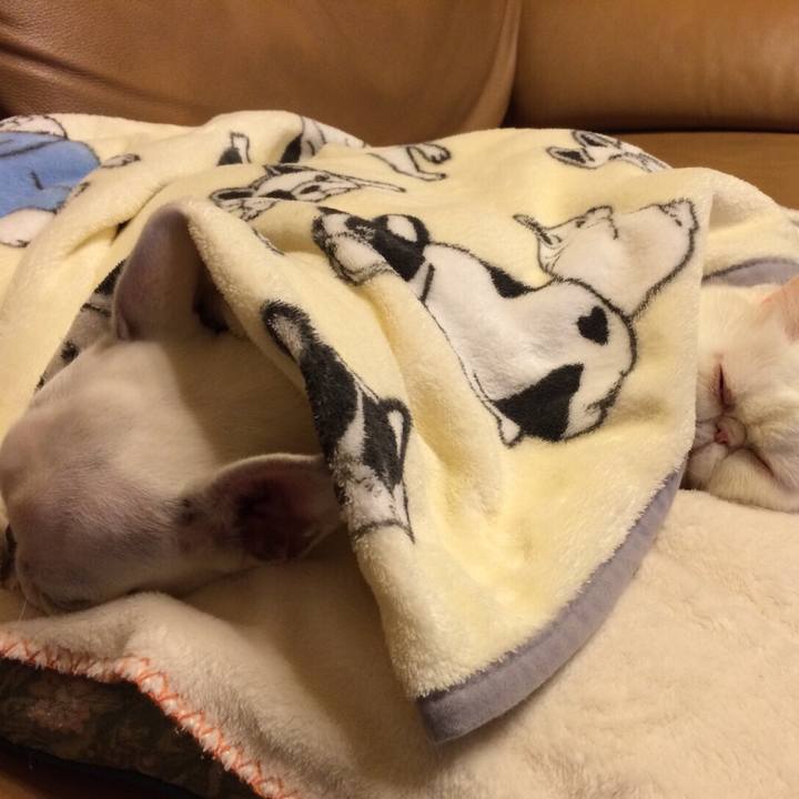 305f7513 36cc 4943 989b 6e7d90e53b9d