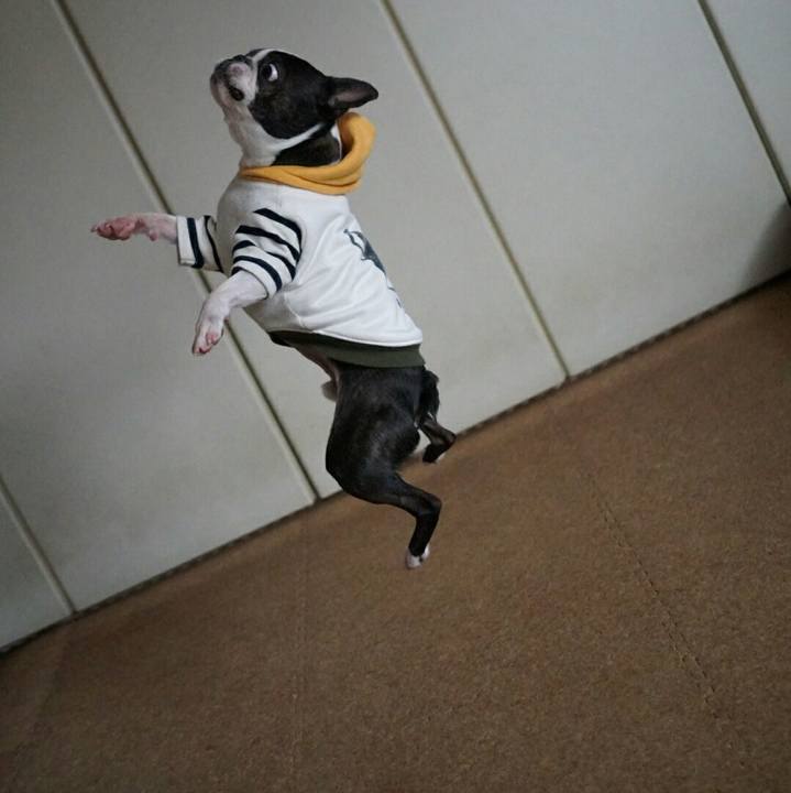 305f896d 22fa 4172 90a9 04c0c20fd5ad