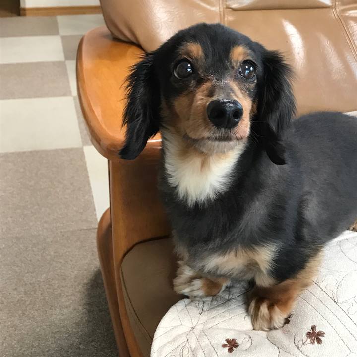 305ffcda 56f7 4314 b583 a5df803a459b