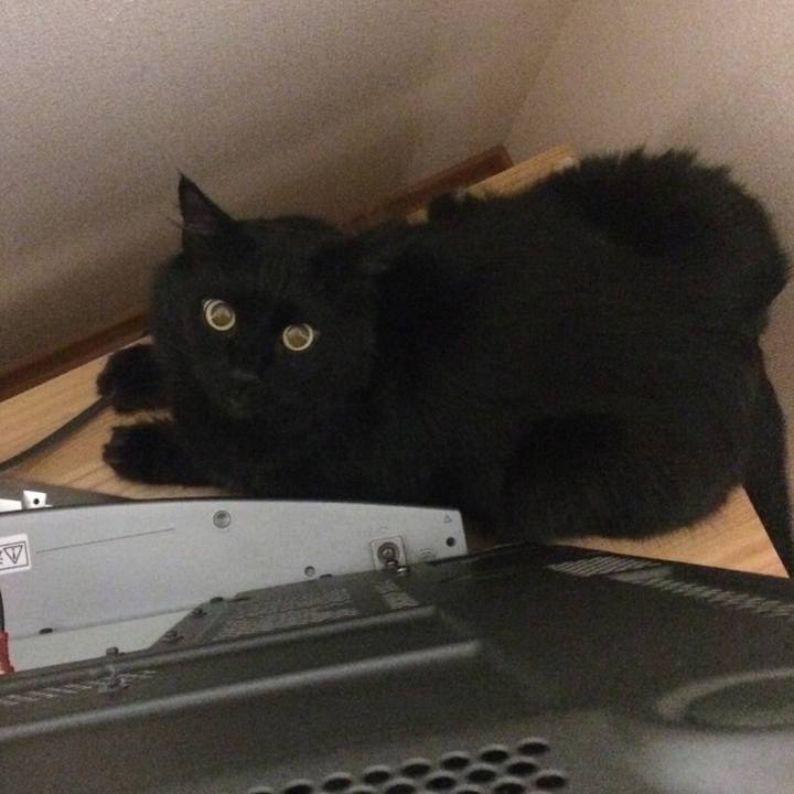 3060acb8 d938 4643 b61f 317e0ae5b93d