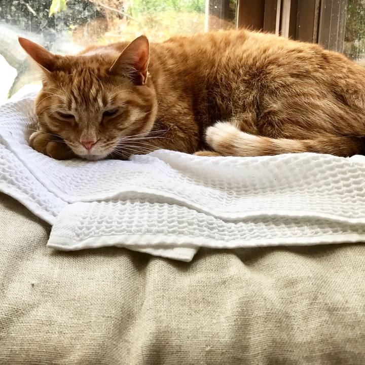 30611a91 f8f9 47ea 8c02 a939cdb001fd