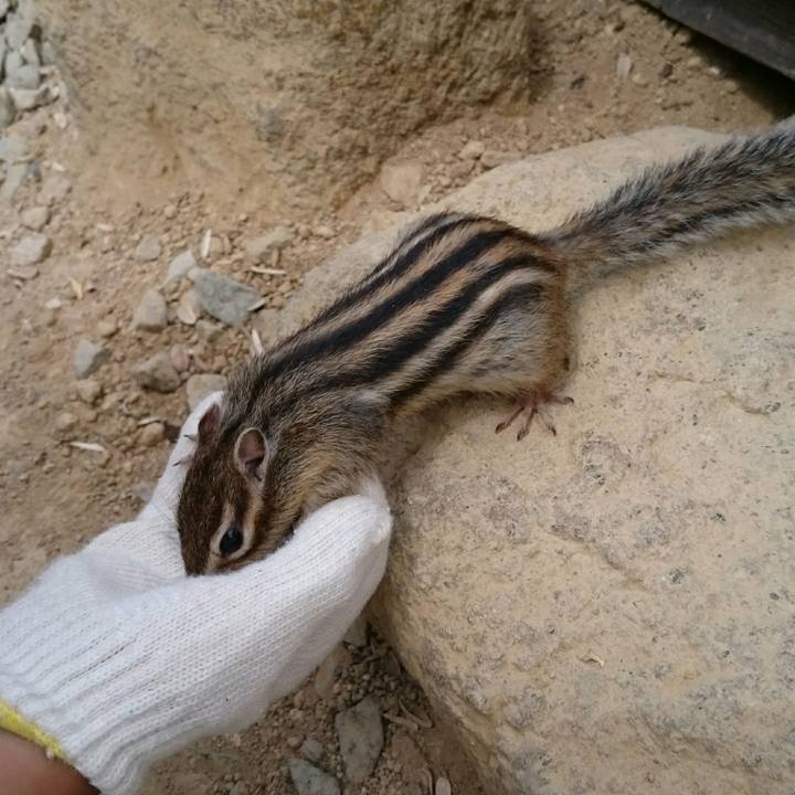 3061224a 45c2 4e1e adc2 503bcaa15e72