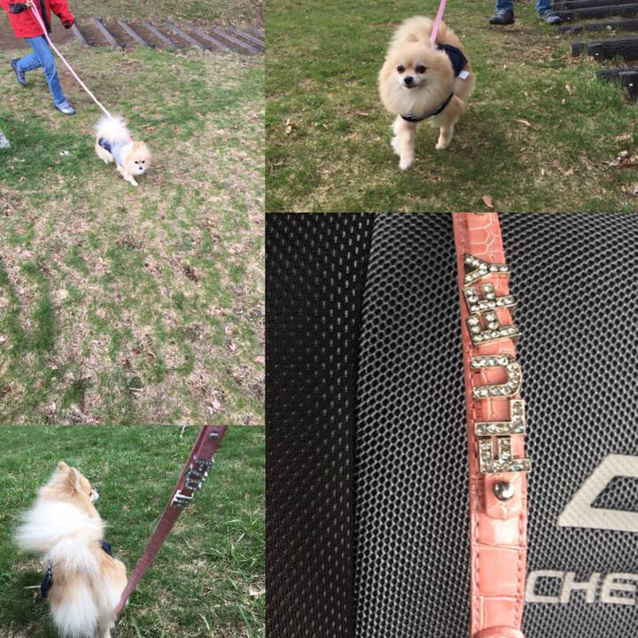 306148c2 b5f3 4cbf 8112 286a7874f256