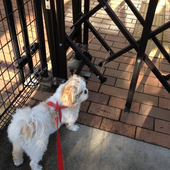 3061d036 7f4e 426d bd36 4d5f5fc05c43