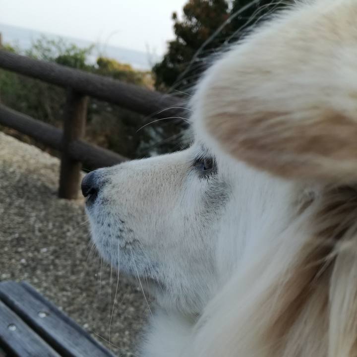 3062a322 1f72 4e9c 8549 ea49f9bd5393