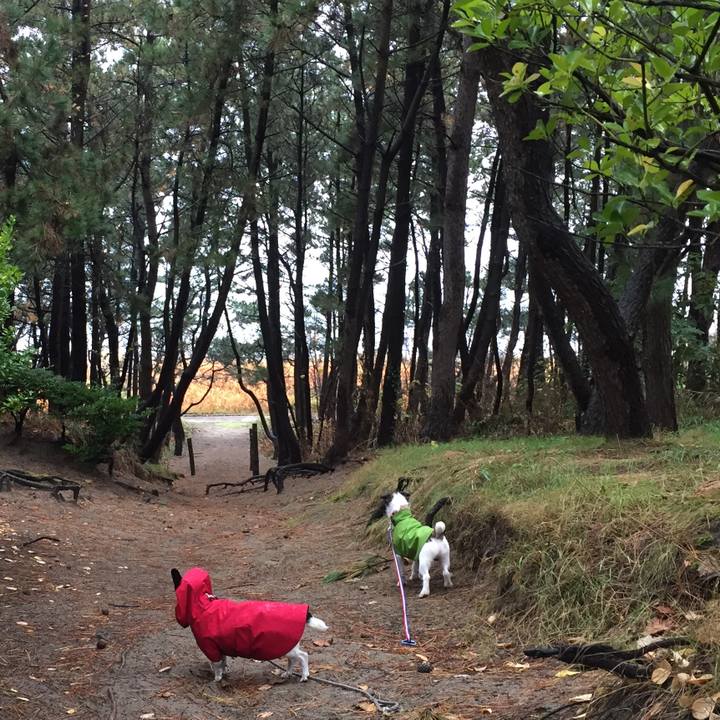 3063696a 9bb4 4a13 bdc8 214b35b25862