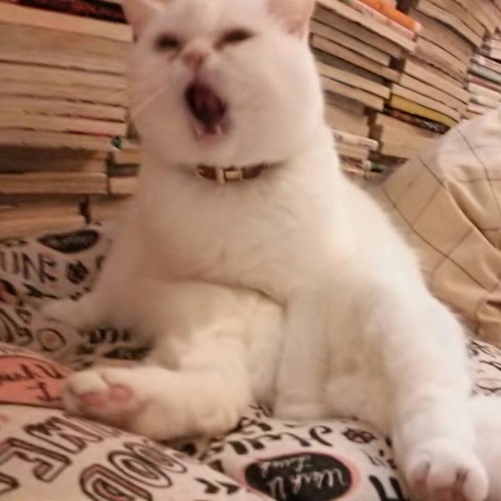 3063c6cf fe1c 416b a1cb 8fded09e2633