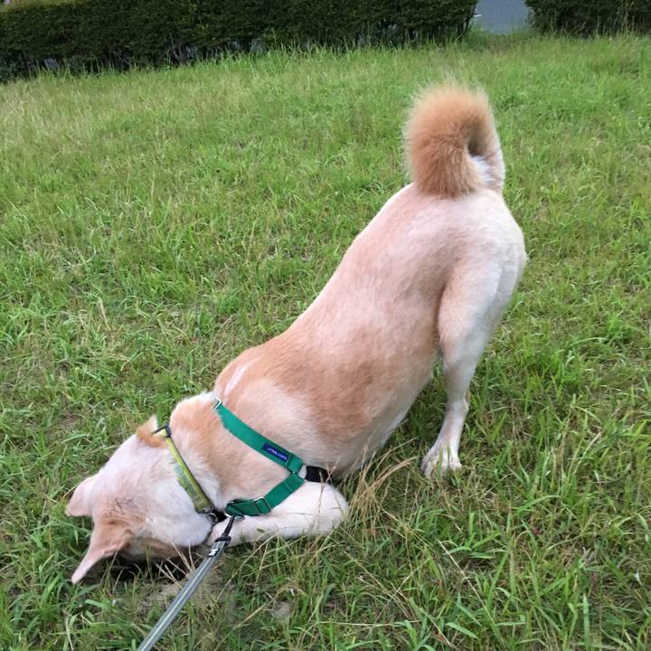 306429a4 f87e 4f02 aede b2c519fbde7f