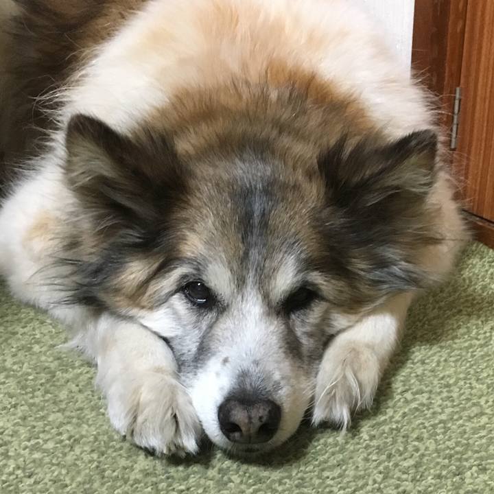 3064ed2c 35d9 498f 962a a2f155bbcf03