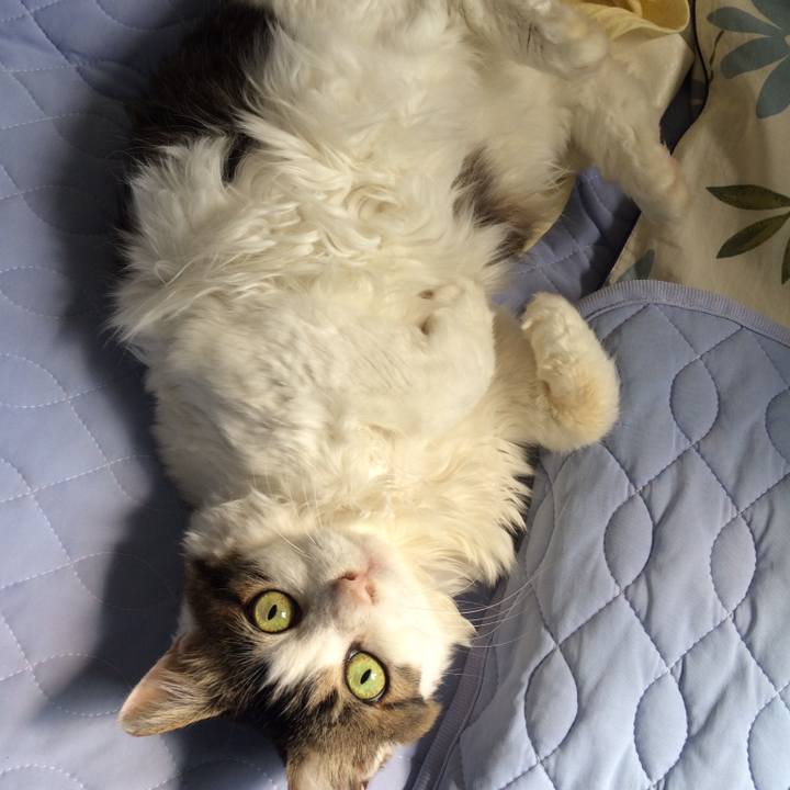 30650118 5fd6 4ab0 beb5 2504584a0db1